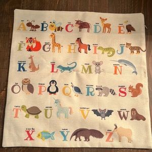 17x17 throw pillow cover